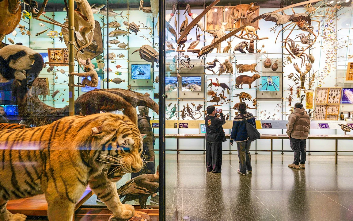 The Field Museum of Natural History Ticket Category